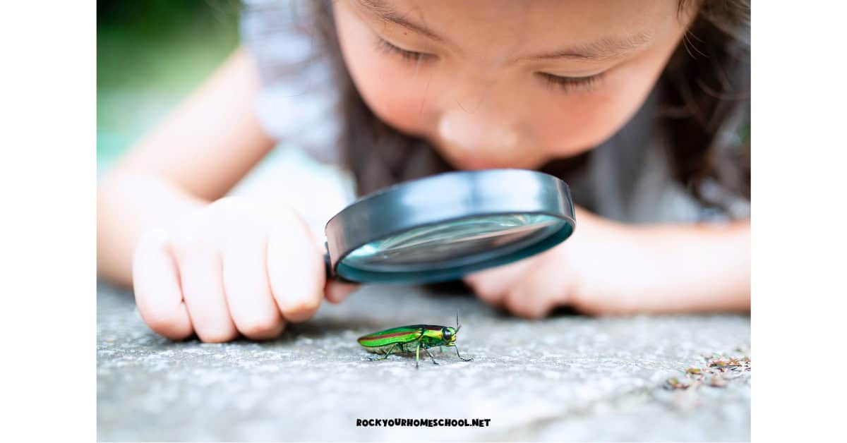 Young girl using magnifying glass to study bug to feature this preschool summer theme.