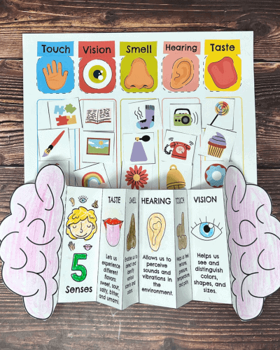 Free printable 5 senses foldable activity for kids to feature resources found to make learning fun at Rock Your Homeschool.