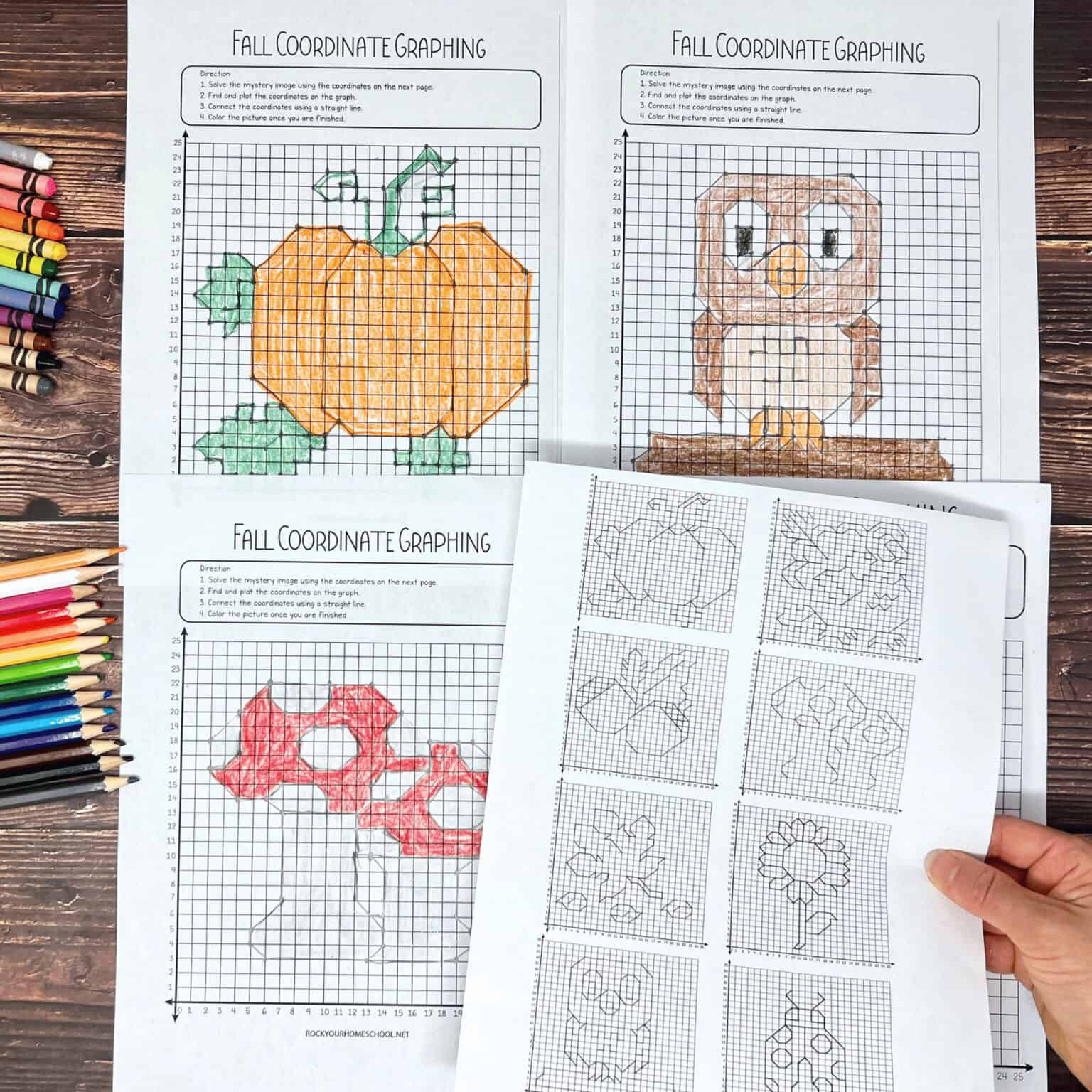 Fall Coordinate Graphing Fun Woman holding printable answer key to free printable fall coordinate graphing worksheets with worksheets in background.