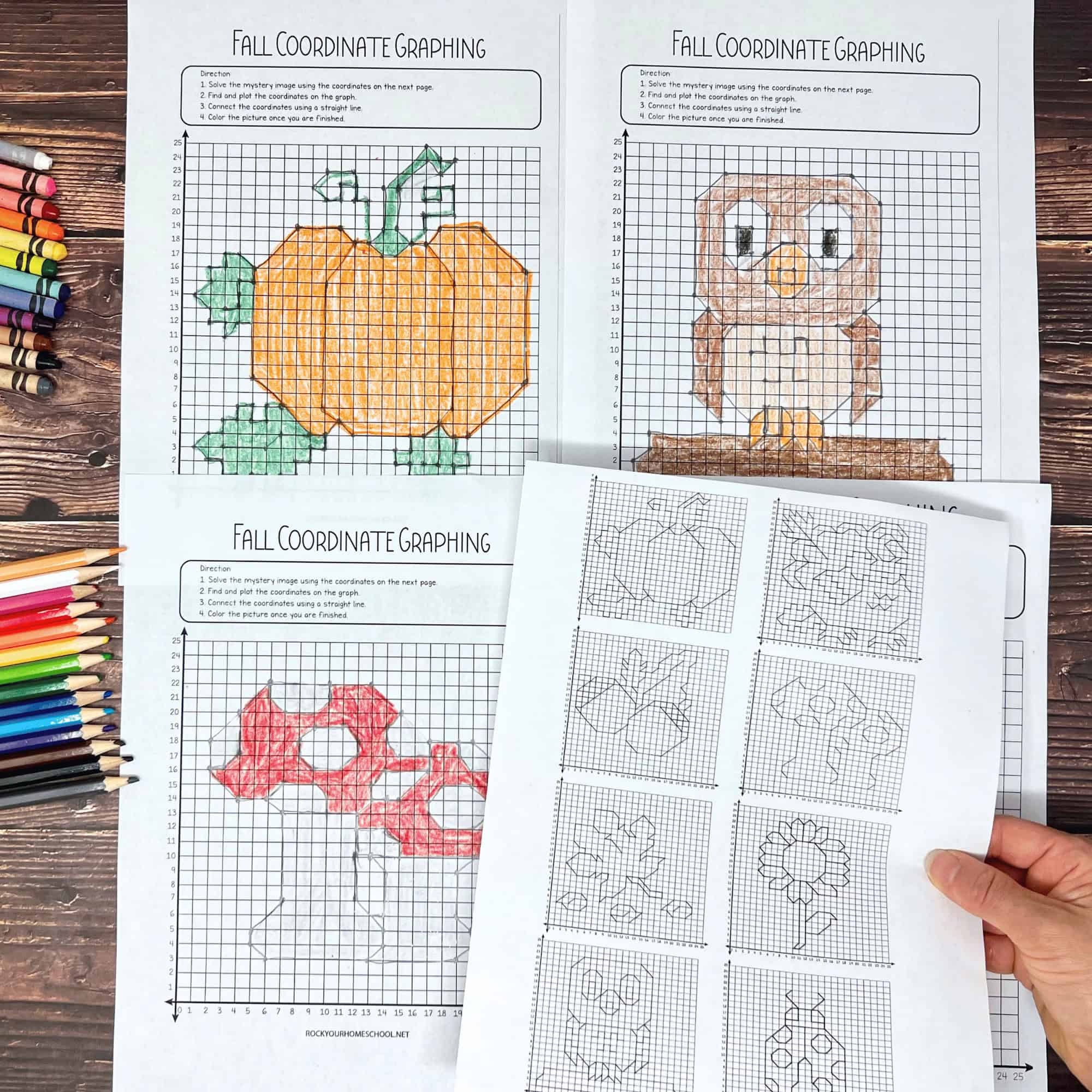 Fall Coordinate Graphing Fun Woman holding printable answer key to free printable fall coordinate graphing worksheets with worksheets in background.